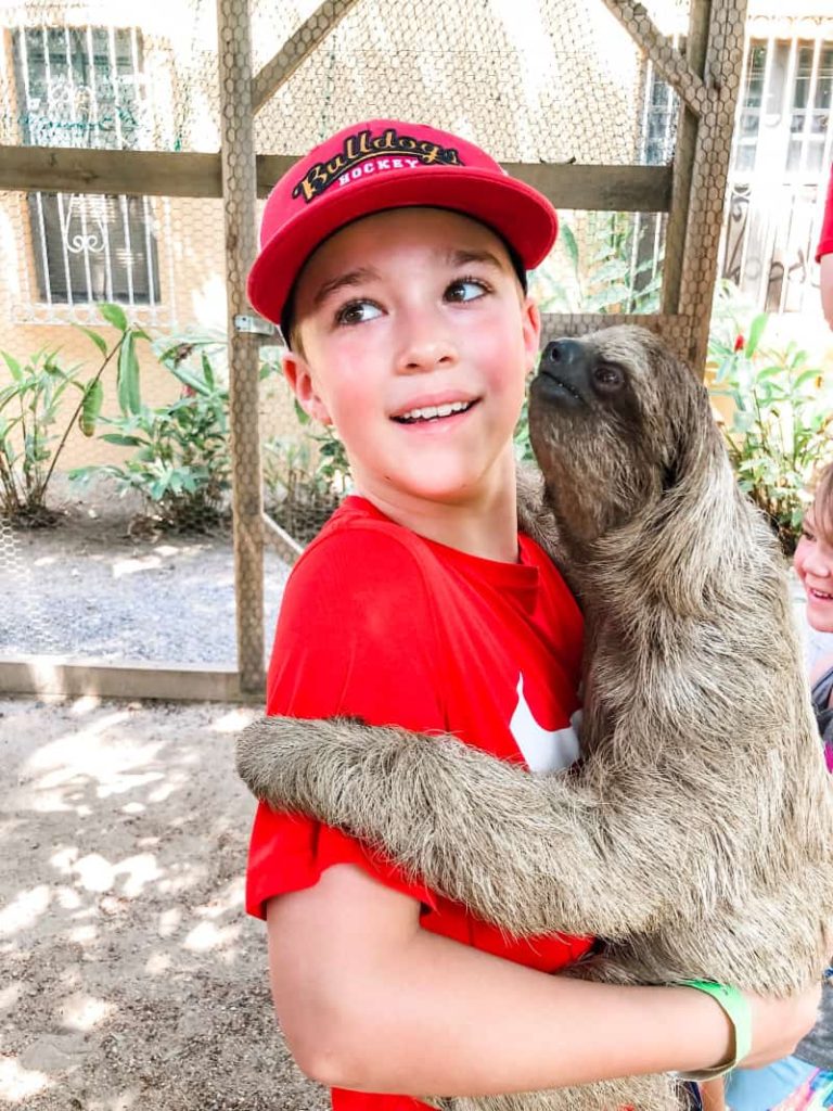 boy holding a sloth
