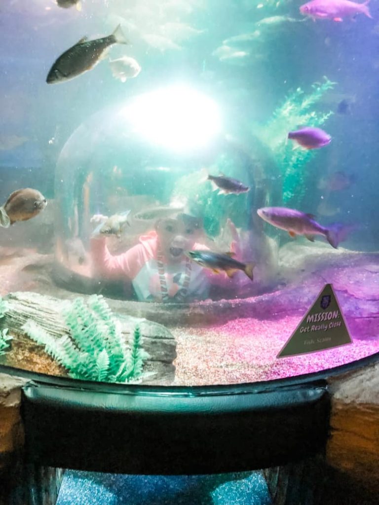 girl standing inside of an aquarium bubble, so that it looks as if she is inside the aquarium with the fish. She is making a dramatic shocked face. 