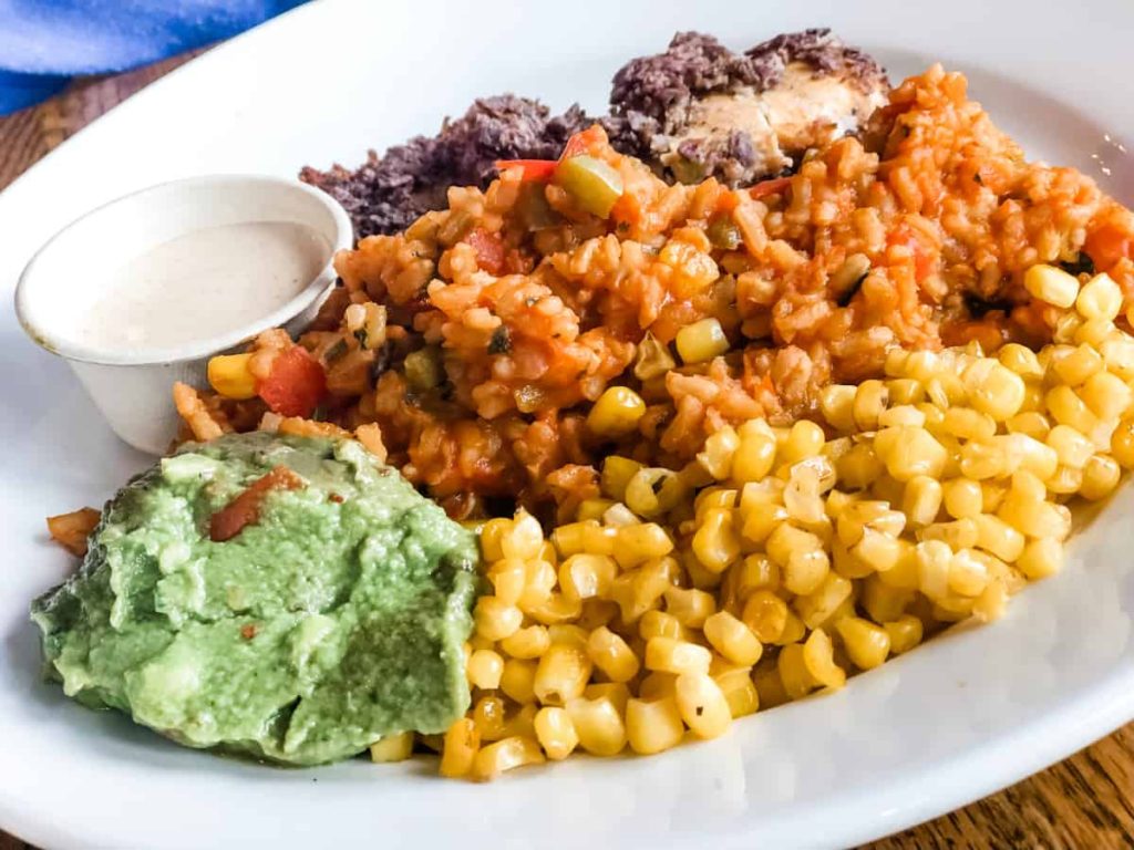 Mexican Chicken Dish with corn, rice, and guacamole