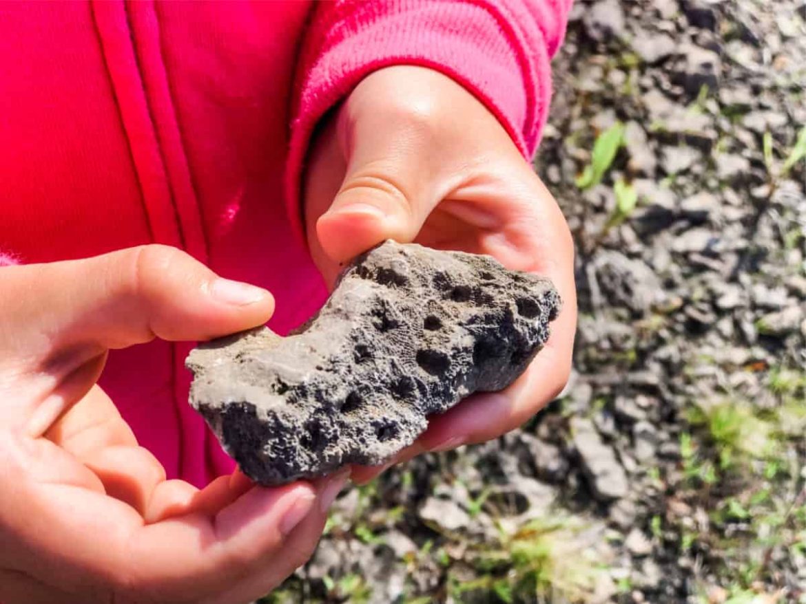 Rockport State Recreation Area: Where to Actually Find Fossils with ...