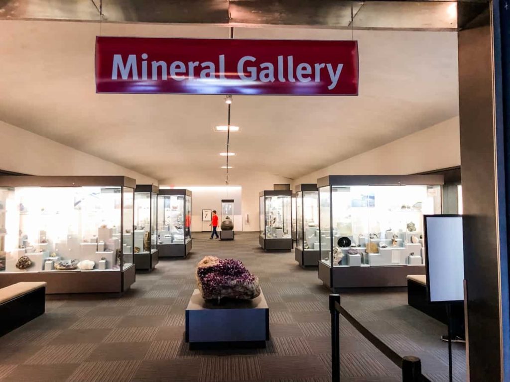 Photograph of the Mineral gallery. Nearly empty, with glass cases on the left and right, filled with rocks and minerals