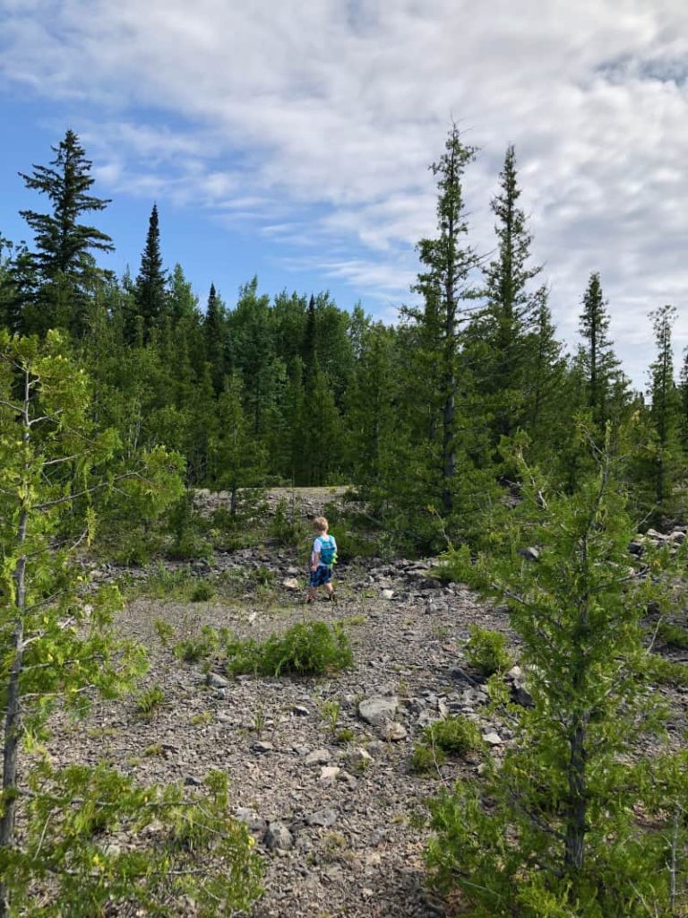 Toddler walking in a field of rocks with short pine trees all around. 