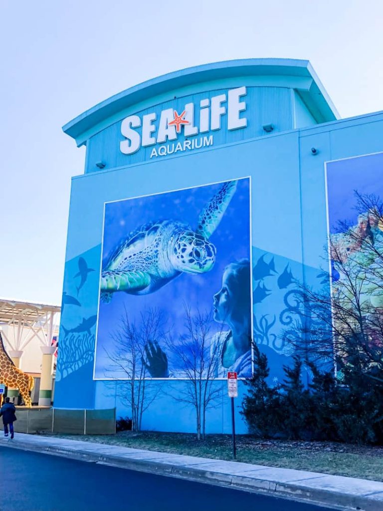 Exterior photo of Sea Life Aquarium. With a giant sea turtle the size of a 3 story building