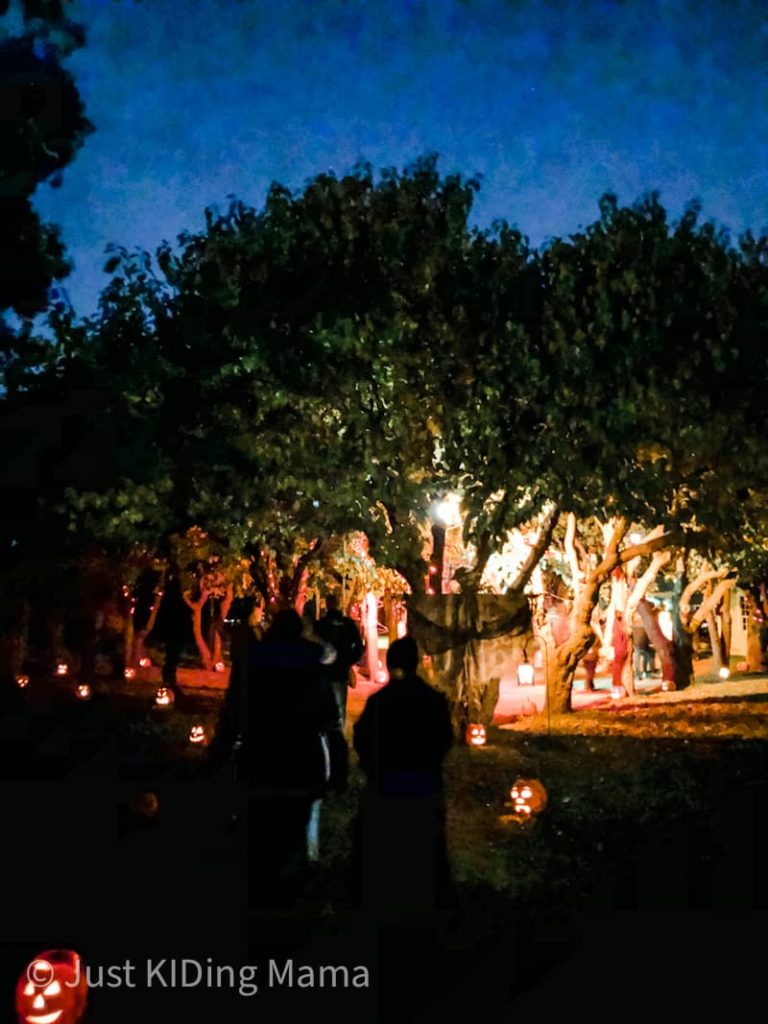 Kids walking into an enchanted forest in the evening. Pumpkins line the walk way. 