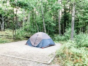Kelty blue and Grey tent set up on a wooded tent pad.