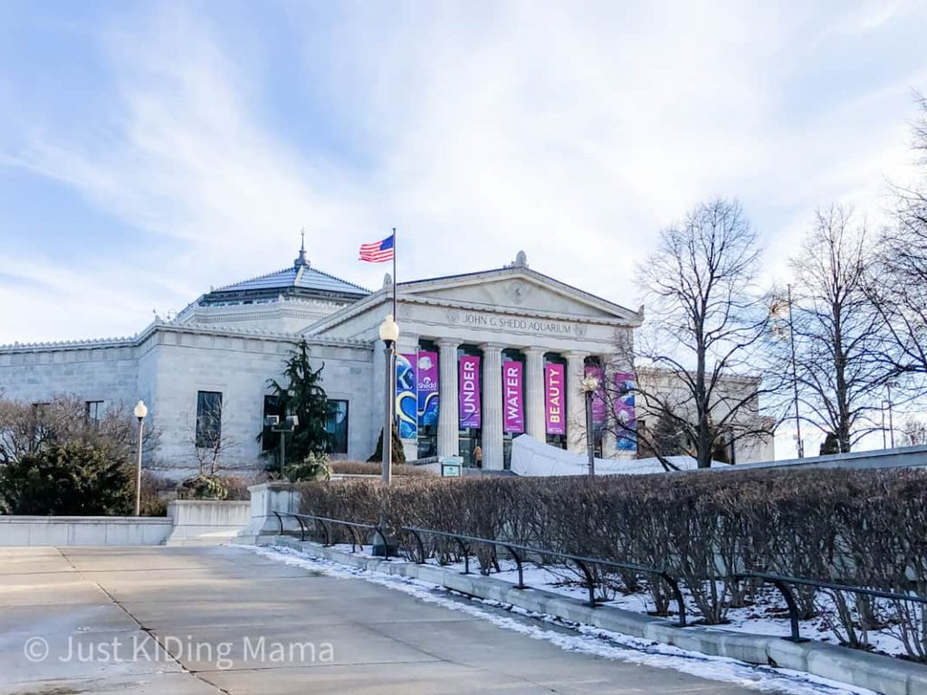 Outdoor photo of the Shedd Aquarium Building