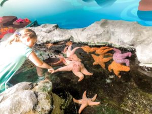 girl reaching into a touch pool to touch a sea star