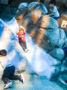 Boy sliding down a slide that is made to look like an ice flow